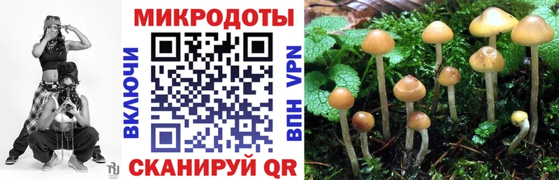 мега как войти  Динская  Галлюциногенные грибы Magic Shrooms 